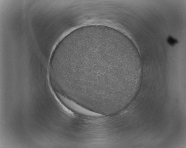 X0000062141525200512301514