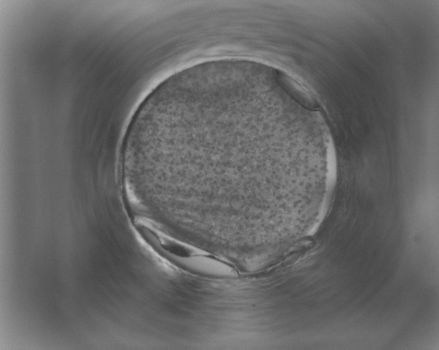 X0000062141527200512301514