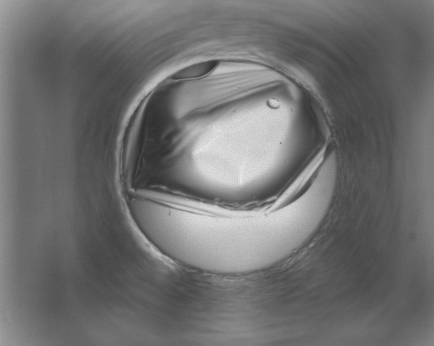 X0000062141528200512301514