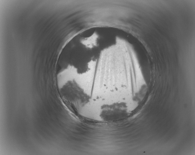 X0000062141529200512301514