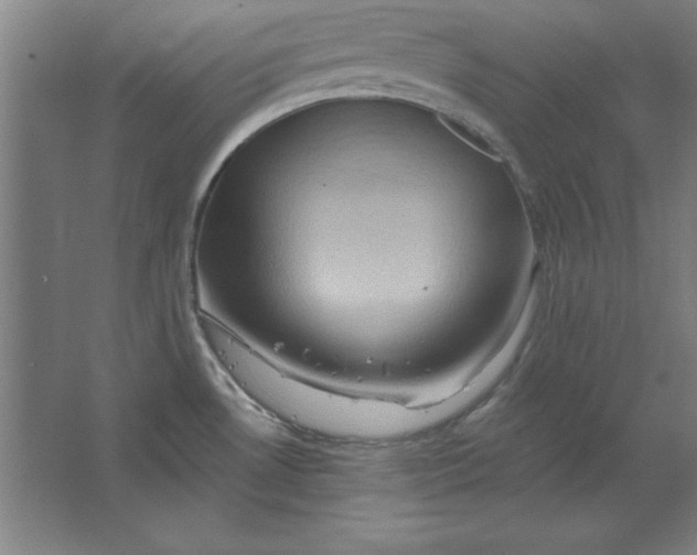 X0000062141530200512301514