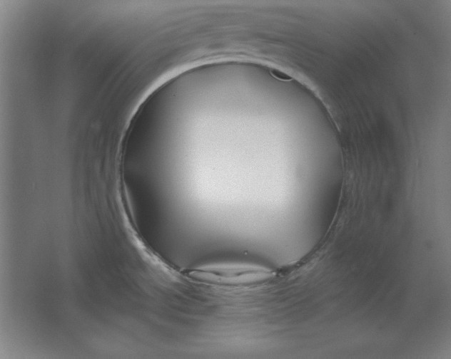 X0000062141534200512301514