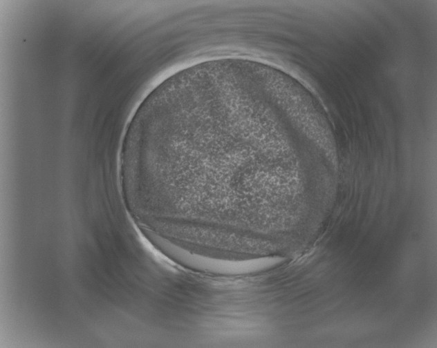 X0000062141535200512301514