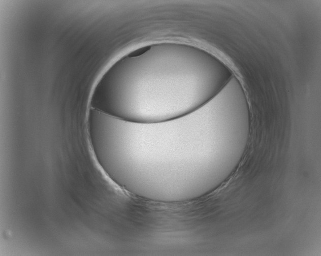 X0000062141536200512301514