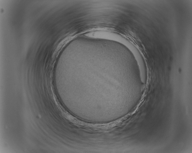 X0000062140001200601060935