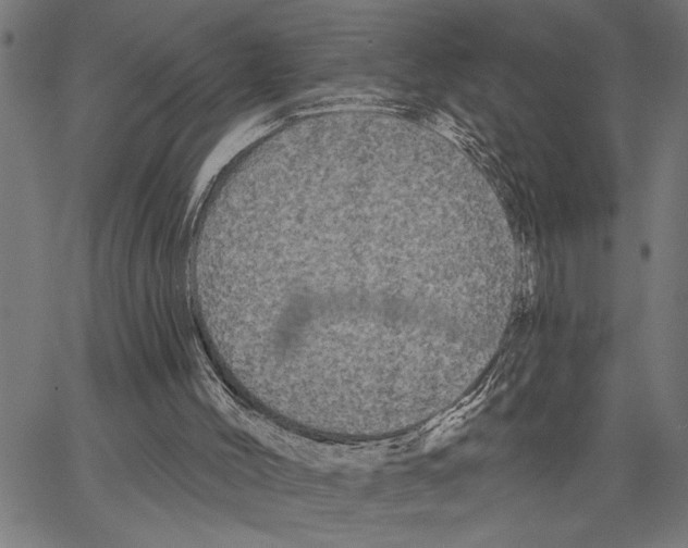 X0000062140004200601060935