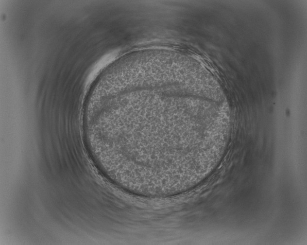 X0000062140006200601060935