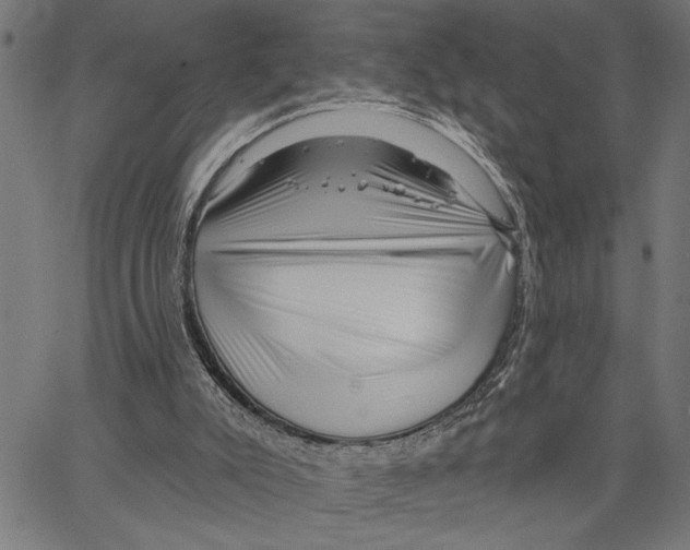 X0000062140007200601060935