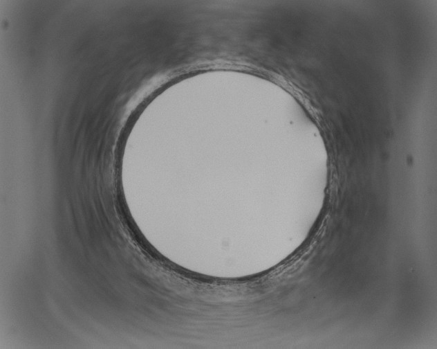 X0000062140008200601060935