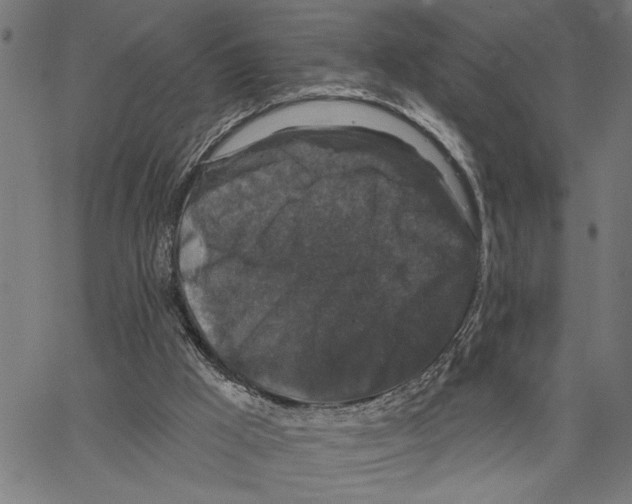 X0000062140009200601060935