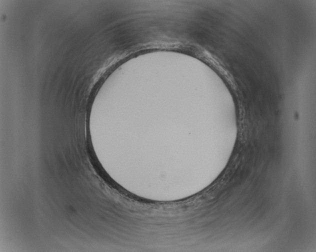 X0000062140011200601060935