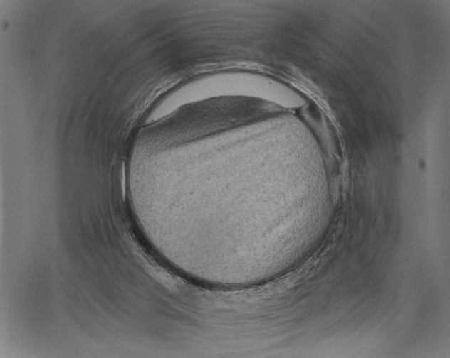 X0000062140013200601060935