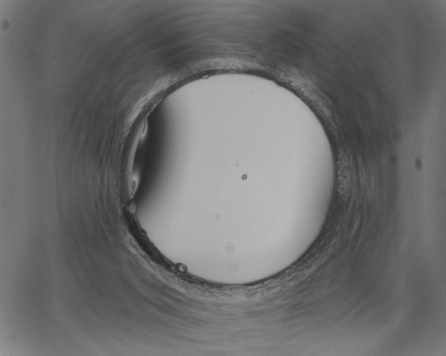 X0000062140015200601060935