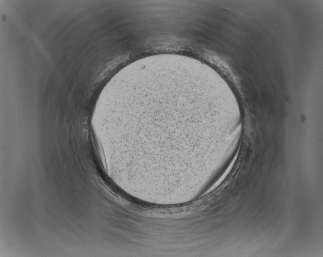 X0000062140017200601060935