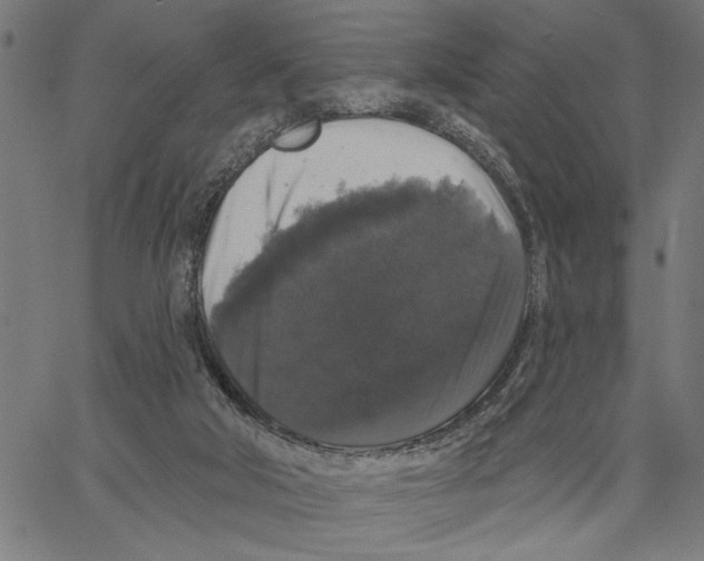 X0000062140018200601060935