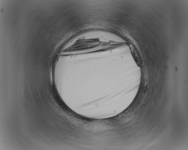 X0000062140020200601060935