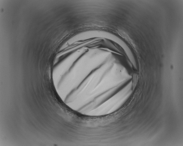 X0000062140021200601060935