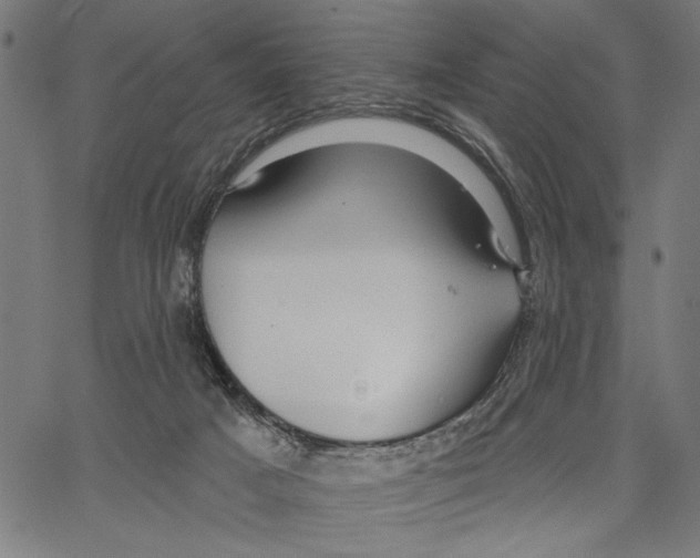 X0000062140025200601060935