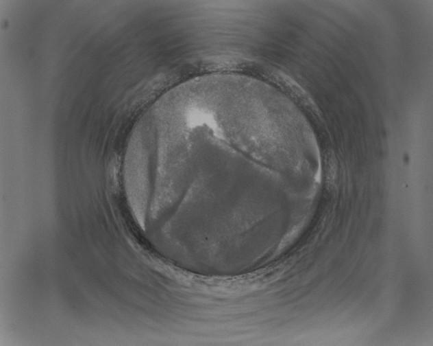 X0000062140026200601060935