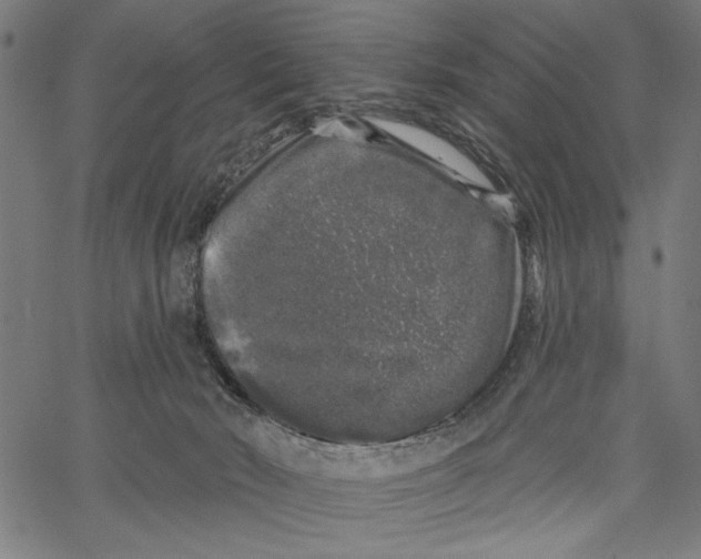 X0000062140030200601060935