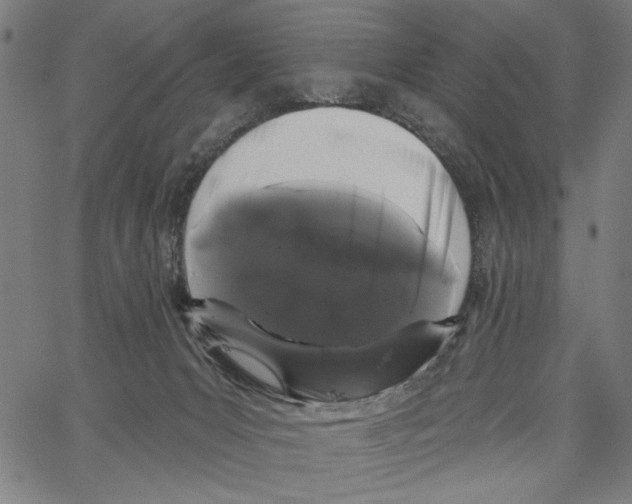 X0000062140031200601060934