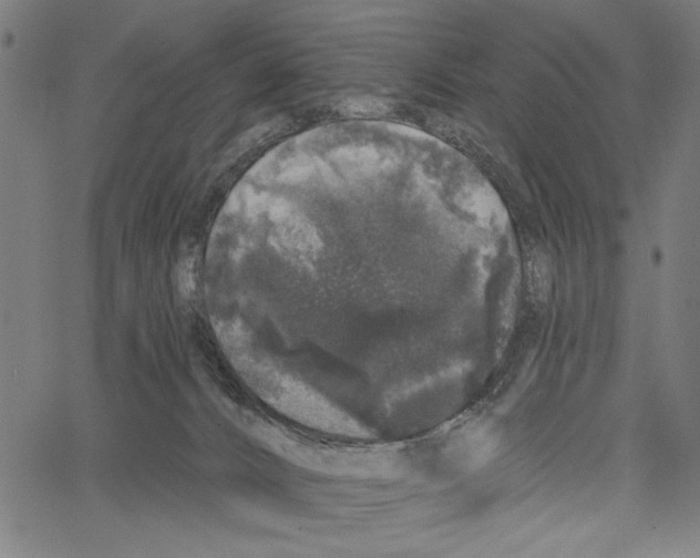 X0000062140032200601060934