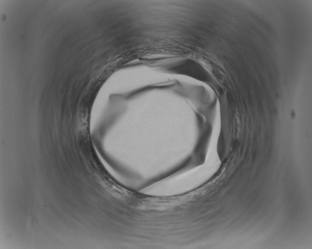 X0000062140033200601060934