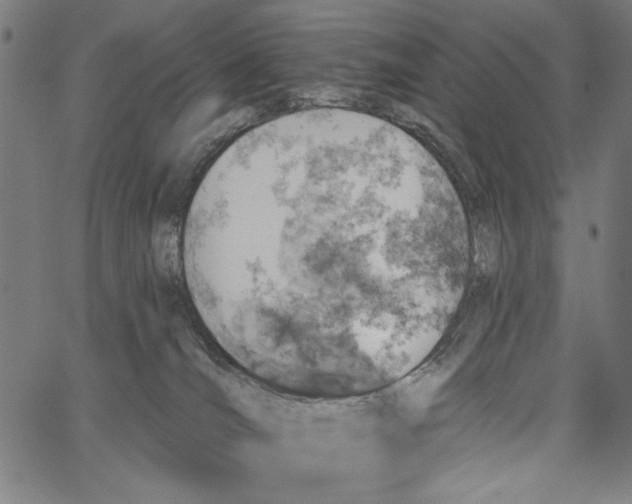 X0000062140036200601060934