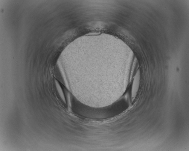 X0000062140037200601060934