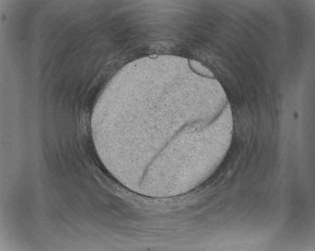 X0000062140038200601060934