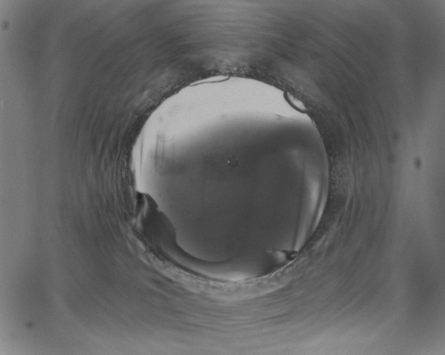 X0000062140039200601060934