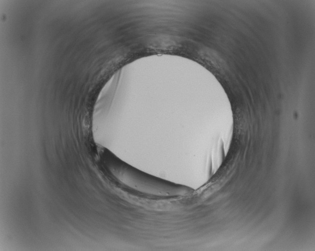 X0000062140040200601060934