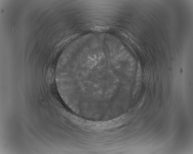 X0000062140043200601060934