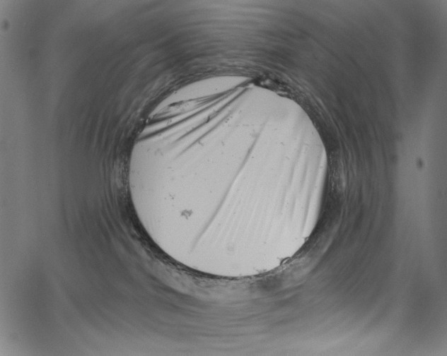 X0000062140044200601060934