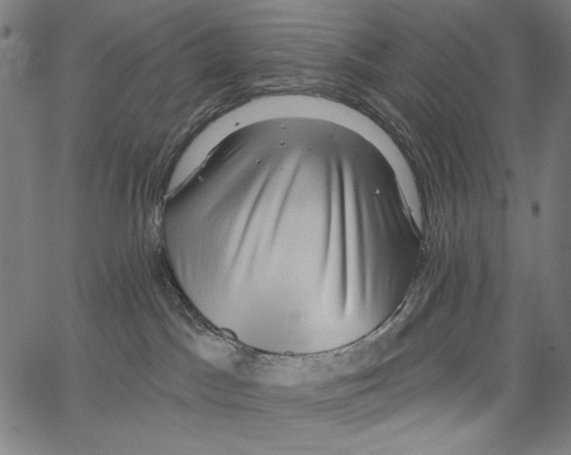 X0000062140045200601060934