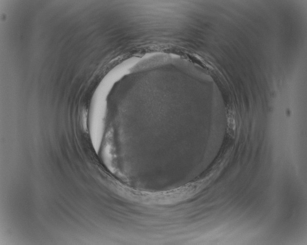 X0000062140046200601060934