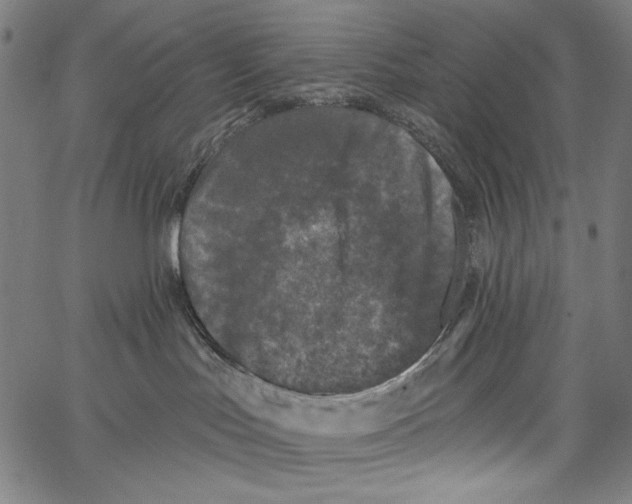 X0000062140047200601060934