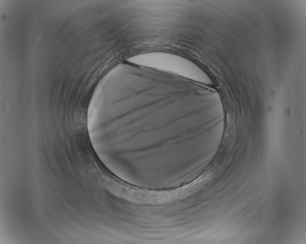 X0000062140048200601060934