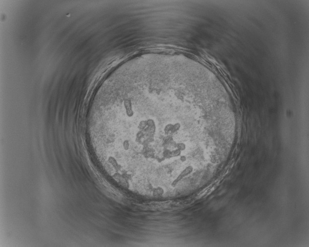 X0000062140049200601060933