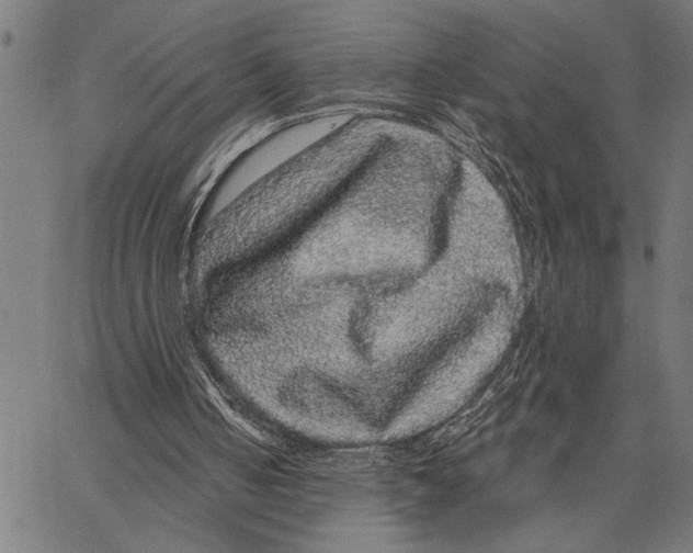 X0000062140050200601060933