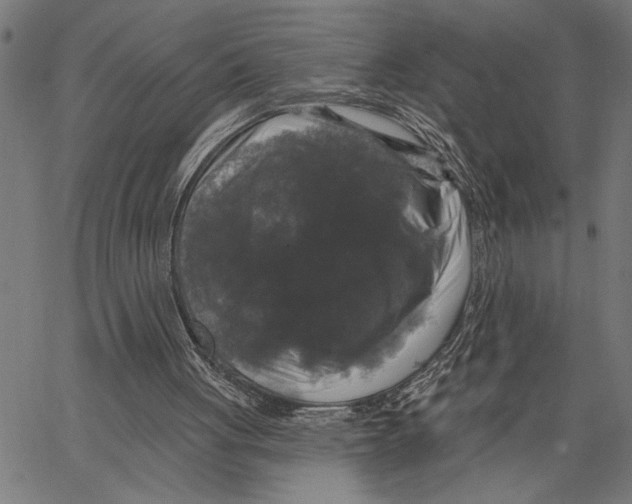 X0000062140051200601060933