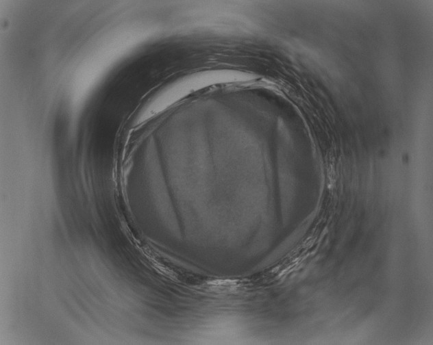 X0000062140052200601060933