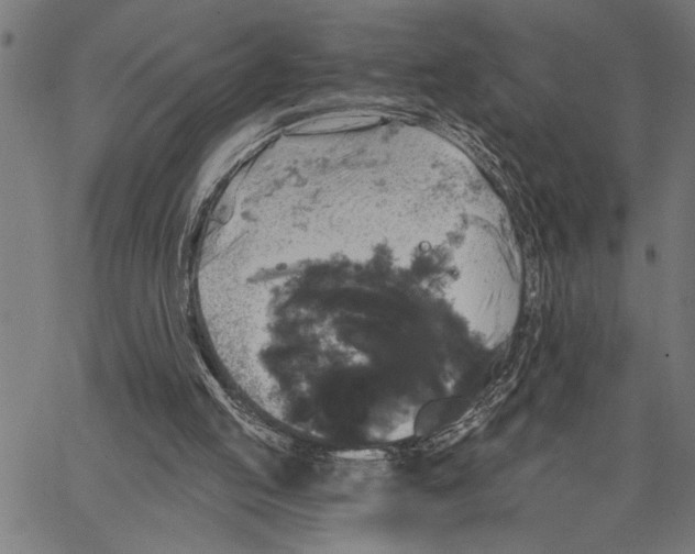 X0000062140053200601060933