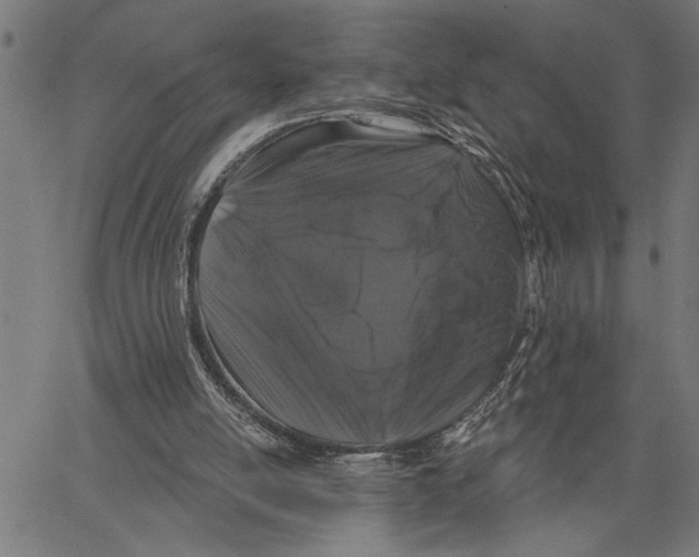 X0000062140054200601060933