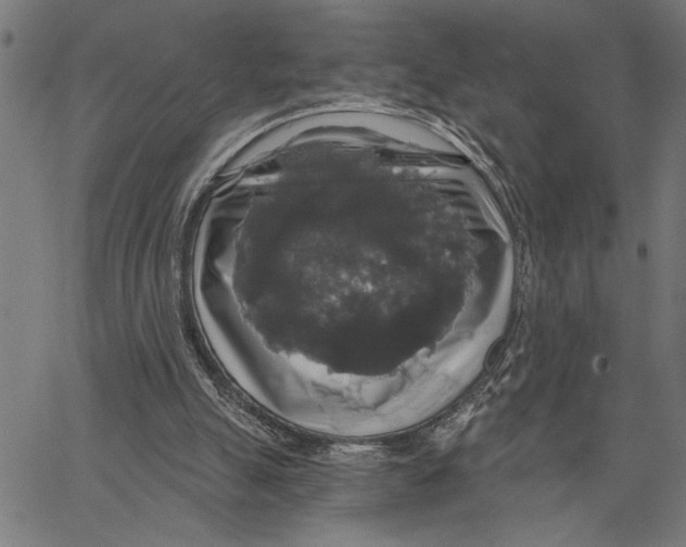 X0000062140055200601060934