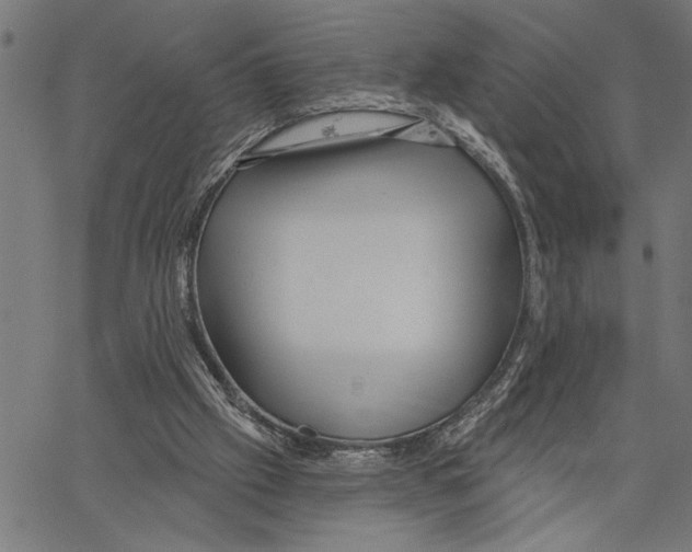 X0000062140057200601060934