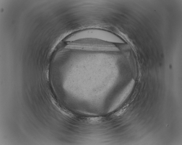 X0000062140060200601060934