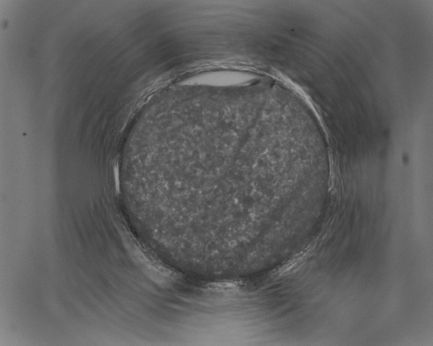 X0000062140061200601060934