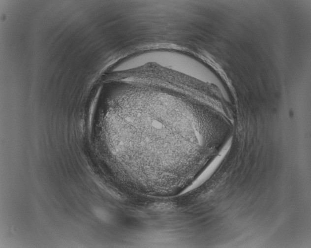 X0000062140063200601060934