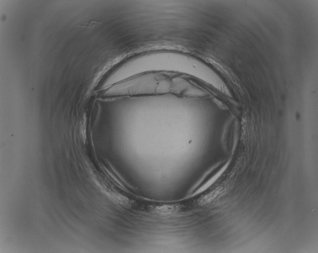 X0000062140064200601060934